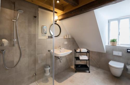 y baño con ducha, aseo y lavamanos. en Aston‘s Hotel en Röthenbach an der Pegnitz
