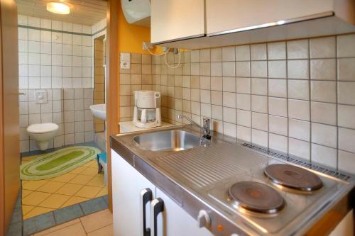 una pequeña cocina con lavabo y aseo en Ferienhaus II Heyder en Elbingerode