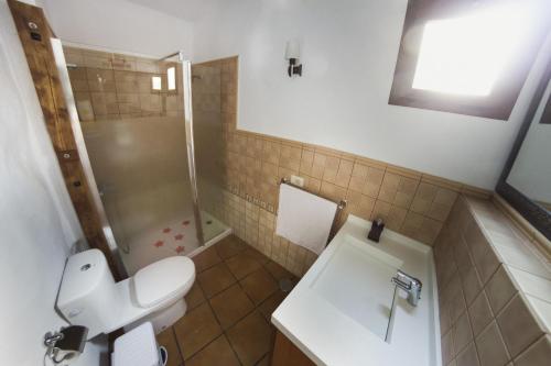 a bathroom with a toilet and a sink and a shower at Casa Rural en Hoya de Tunte 1 in San Bartolomé