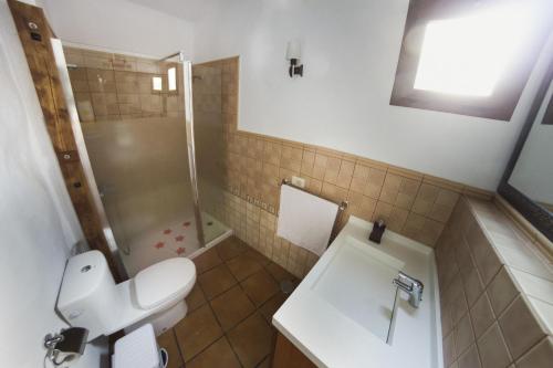a bathroom with a toilet and a sink and a shower at Vivelorural casa Tunte 1, piscina y terraza in San Bartolomé de Tirajana