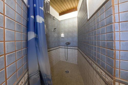 サン・バルトロメにあるCasa rural en Hoya de Tunte 3のバスルーム(青いタイル張りの壁のシャワー付)