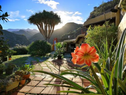 a garden with a flower in the middle of a patio at Vivelorural casa La Cuevita, Santa Brígida in Santa Brígida