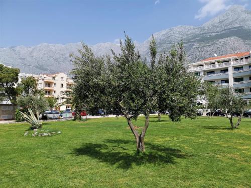 Apartment Makarska, panoramic sea & mountains view, Čuček