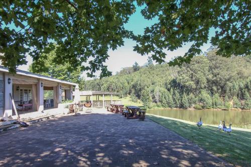 a building next to a lake with birds on the grass at Lavender Trout Guest Farm in Nottingham Road