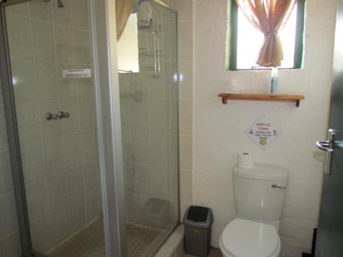 a bathroom with a shower and a toilet at Pumula Guest Farm in Fouriesburg