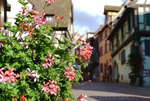 Gîte l'Agapé – Photos 5