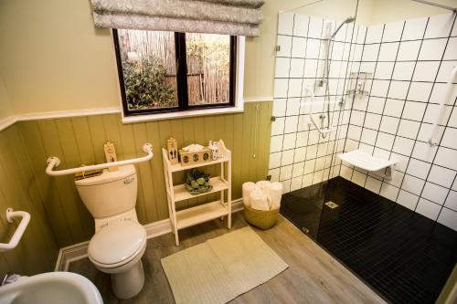 a bathroom with a toilet and a shower at Three Tree Hill Lodge in Bergville