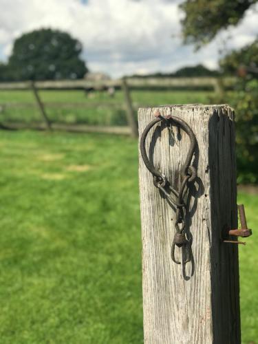a rope tied to a wooden post in a field at Rylands Farm Guest House in Wilmslow