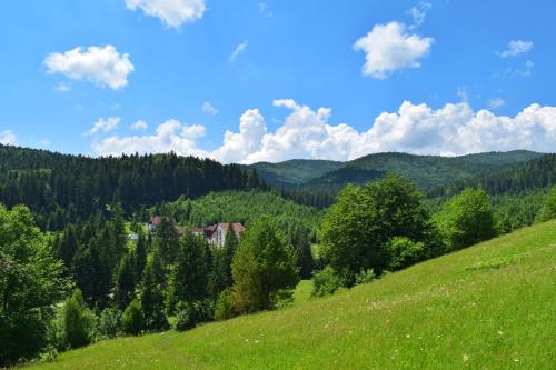 a green hill with a house in the middle of a field at Hotel Floare de Colt in Mănăstirea Humorului
