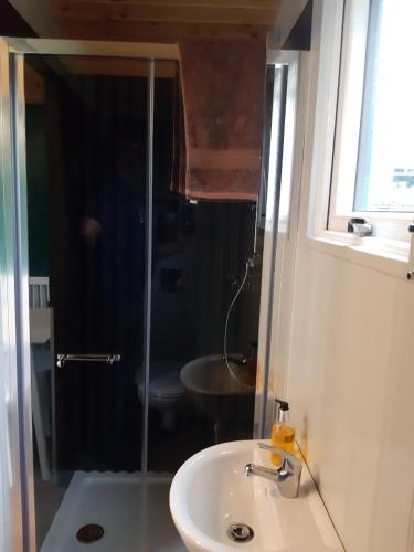 a bathroom with a shower and a white sink at Annascaul Train Carriage suit couple and 2 children in Annascaul