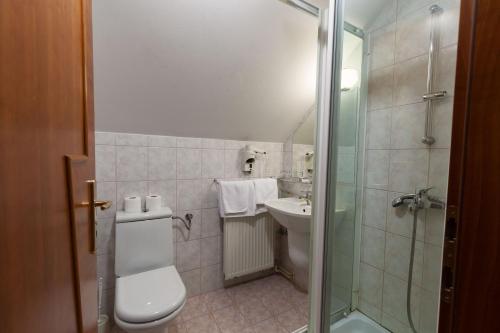 a bathroom with a toilet and a sink and a shower at Gostišče Prosnik in Ormoz