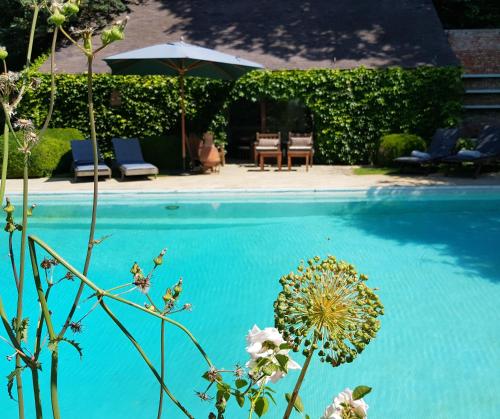 ein blauer Pool mit Stühlen und einem Sonnenschirm in der Unterkunft Le Bocage Fleuri in Mons