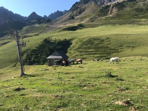 Φυσικό τοπίο κοντά σε αυτό το διαμέρισμα