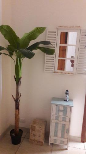 a plant in a room next to a window at Casa Daniela 2 in Vieste