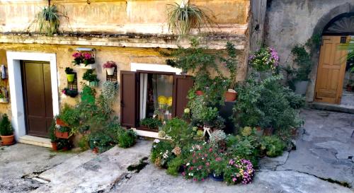 Nuotrauka iš apgyvendinimo įstaigos Flora Lovrane galerijos