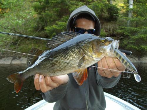 TöcksforsにあるFerienhaus Stenbäcken in Mittelschwedenの釣竿に魚を抱いた男