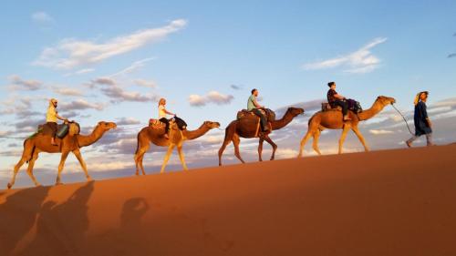 a group of people riding on camels in the desert at Sahara Tours luxury camp in Merzouga