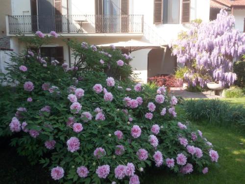 a bush of pink flowers in front of a building at Lapieve in Scalenghe