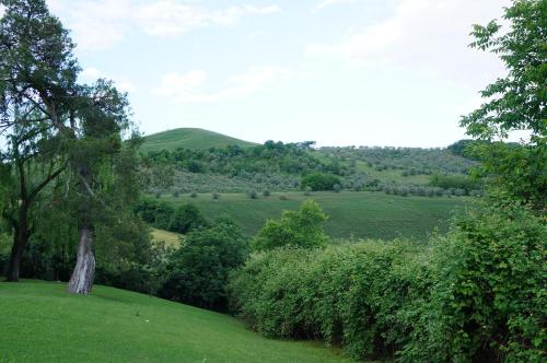 a view of a green field with trees and bushes at Agriturismo La CasinaRosa in Loreto Aprutino