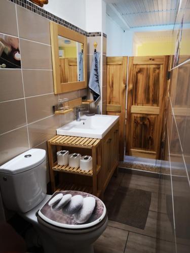 a bathroom with a toilet and a sink and a shower at Ti Coco in Trois-Rivières