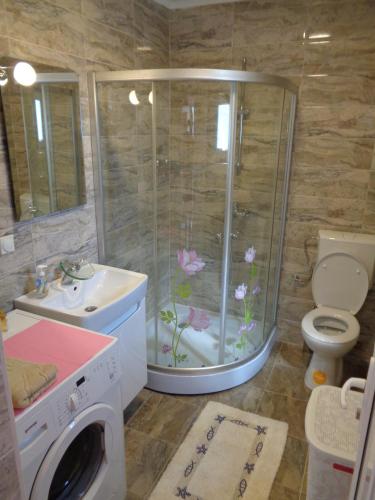 un bagno con doccia, WC e lavatrice di Apartment Golf a Star Dojran