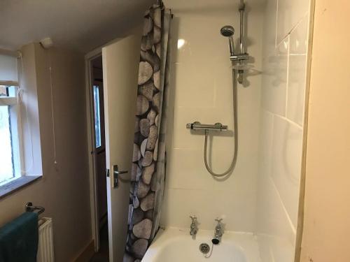 a bathroom with a shower and a sink at Ham Tree Cottage in Trowbridge