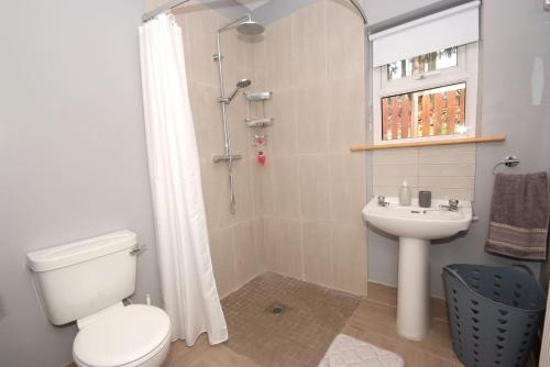 a bathroom with a toilet and a sink and a shower at Kerry Air in Killarney