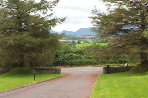 a road with trees on the side of the road at Kerry Air in Killarney