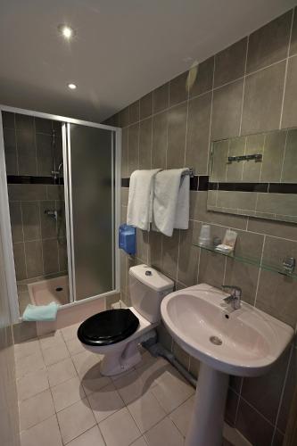 a bathroom with a toilet and a sink and a shower at Hotel De l'Europe in Meyrueis