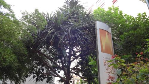 a sign in front of a palm tree at Residencial Bella Vista Suites in Sao Paulo