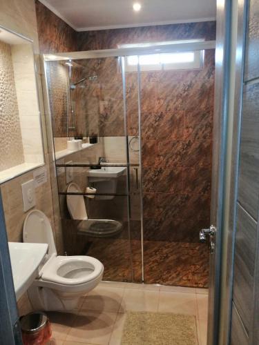 a bathroom with a shower with a toilet and a sink at Complexul Turistic Class in Sulina