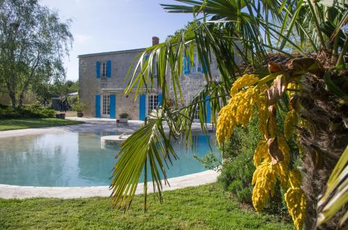 een palmboom met een zwembad voor een gebouw bij Logis Saint Léonard in Dompierre-sur-Mer