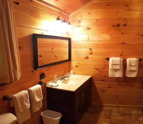 a bathroom with a sink and a mirror at The Wilderness Inn: Chalets in Wilmington