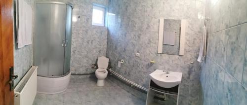 a bathroom with a toilet and a sink and a shower at Pensiunea Alex & Andry in Cordun