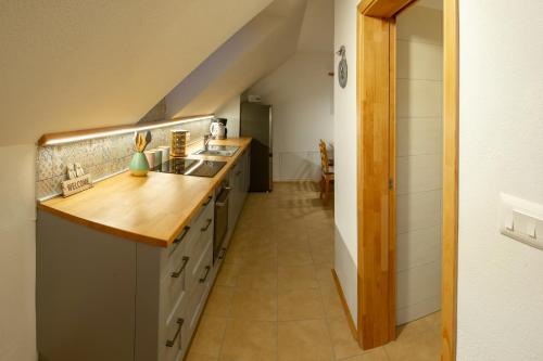 Η κουζίνα ή μικρή κουζίνα στο Apartments Laznica
