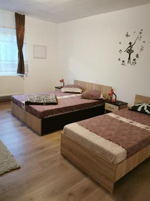 a bedroom with two beds and a window at Pensiunea Alex & Andry in Cordun