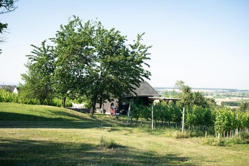 a house on a hill with a tree and a fence at Weingarten Lodge in Winten