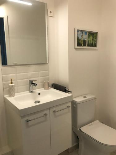 Koupelna v ubytování Calm & Cosy, magnifique T1 proche CHU