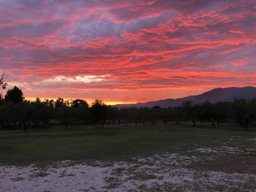 a sunset over a field with trees and mountains at Borgo Albador Rooms in Posada