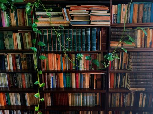 Perpustakaan di penginapan & sarapan