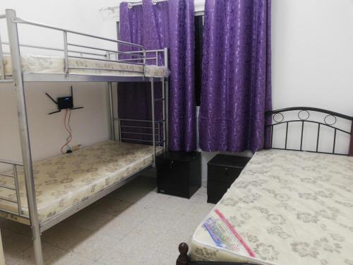 two bunk beds in a room with purple curtains at Bed Space For Females Near Metro Station in Dubai