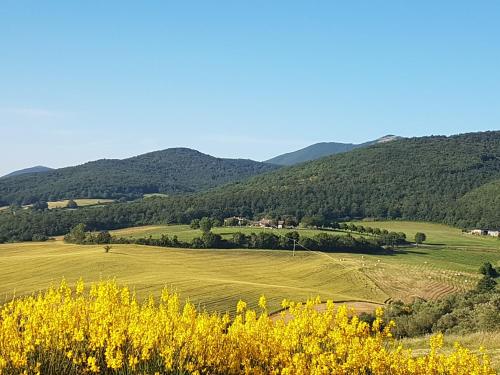 a yellow field with mountains in the background at Cerqueti agriturismo in Baschi