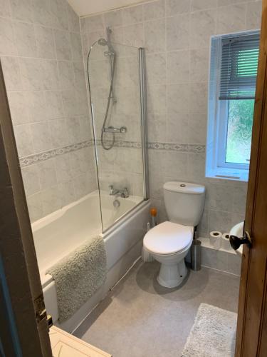 a bathroom with a toilet and a tub and a shower at River Cottage in Conwy