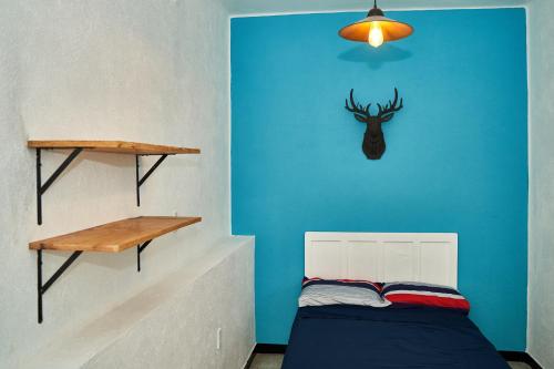 a bedroom with a blue wall with a deer head on the wall at Hostal Americana in Guadalajara
