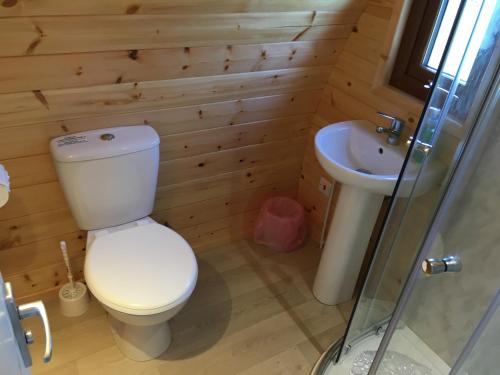 a bathroom with a toilet and a sink at Emlagh, Self Catering Glamping Pods in Kilkee