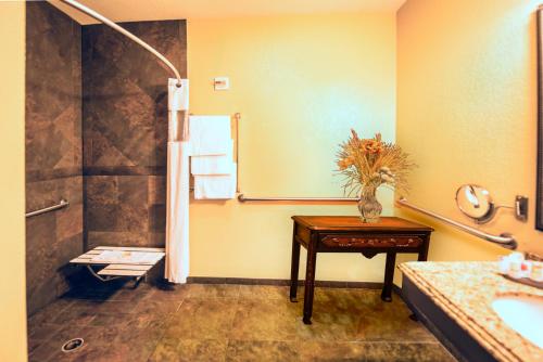 a bathroom with a sink and a shower and a table at La Quinta by Wyndham Marble Falls in Marble Falls
