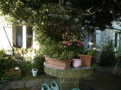 a group of pots of flowers and plants in a garden at les Miquelots in Pont-d'Ouilly