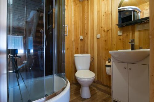 a bathroom with a toilet and a sink and a shower at domek góralski in Zakopane