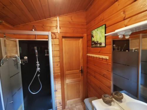 een badkamer met een douche en een wastafel bij Chalet Kylucru 6 personnes classé 2 étoiles in Xonrupt-Longemer