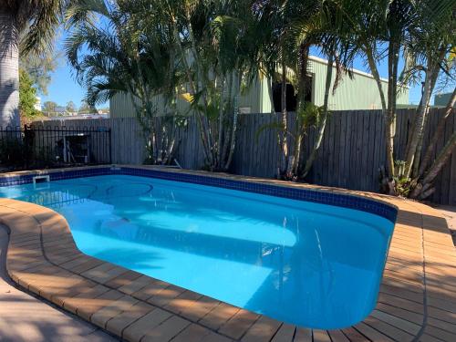 - une piscine dans une cour avec des palmiers dans l'établissement Biloela Palms Motor Inn, à Biloela